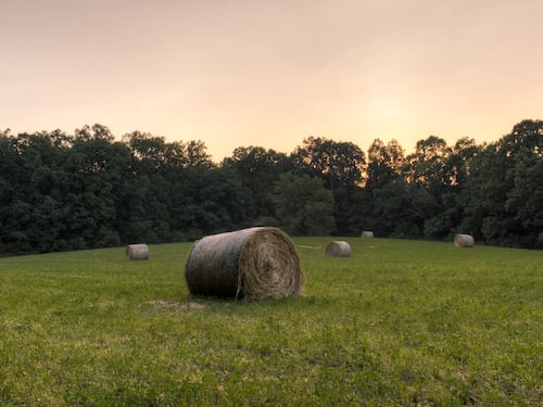 Un viaggio nel tempo nel Kentucky rurale che si specchia in Trump
