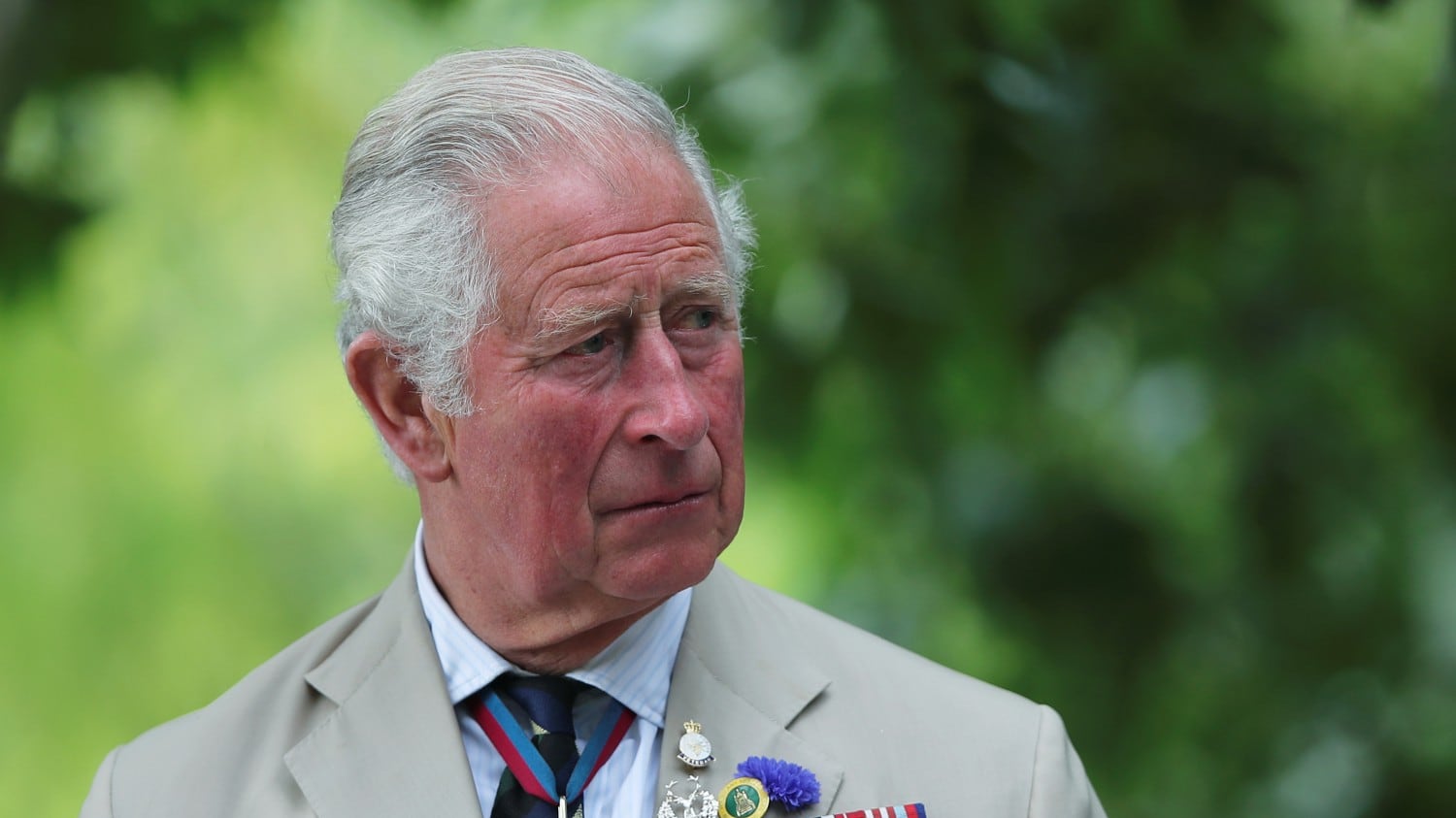 Bufera su Buckingham Palace. Carlo ha speso più di 6 milioni di euro per mantenere i figli