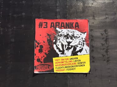 A Berlino spunta un'arena con le tigri per "mangiare" i rifugiati 12