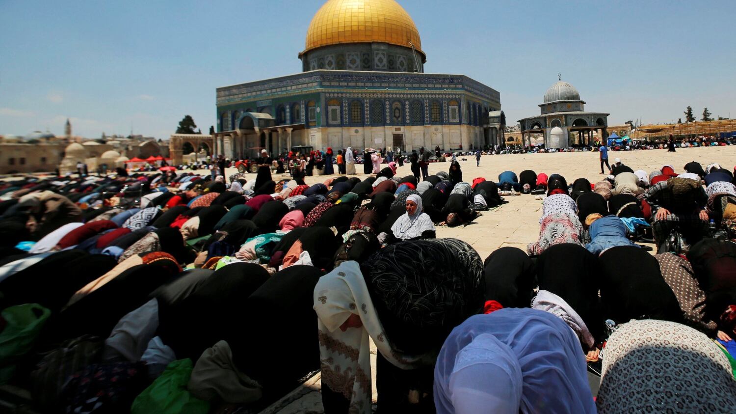 "Così vogliono censurare le critiche all'islam politico"