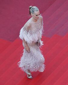 Festival di Cannes 2017, i look più sexy 24