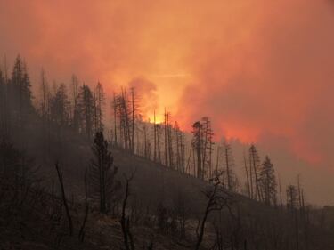 California devastata dagli incendi 17