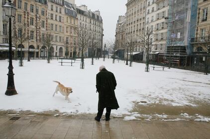 Parigi "in bianco": neve sulla capitale 5
