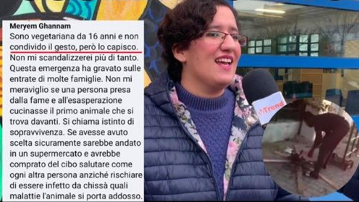 L'immigrato si cucina un gatto. La sardina: "Lo capisco"