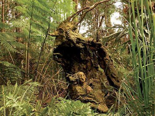 Una foresta magica tra sogno e realtà: l'opera di Bruno Torfs