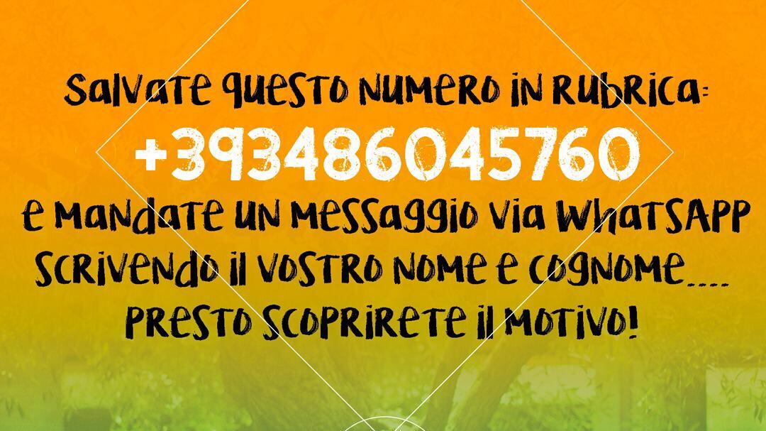 Francesco Gabbani si inventa il brano via WhatsApp