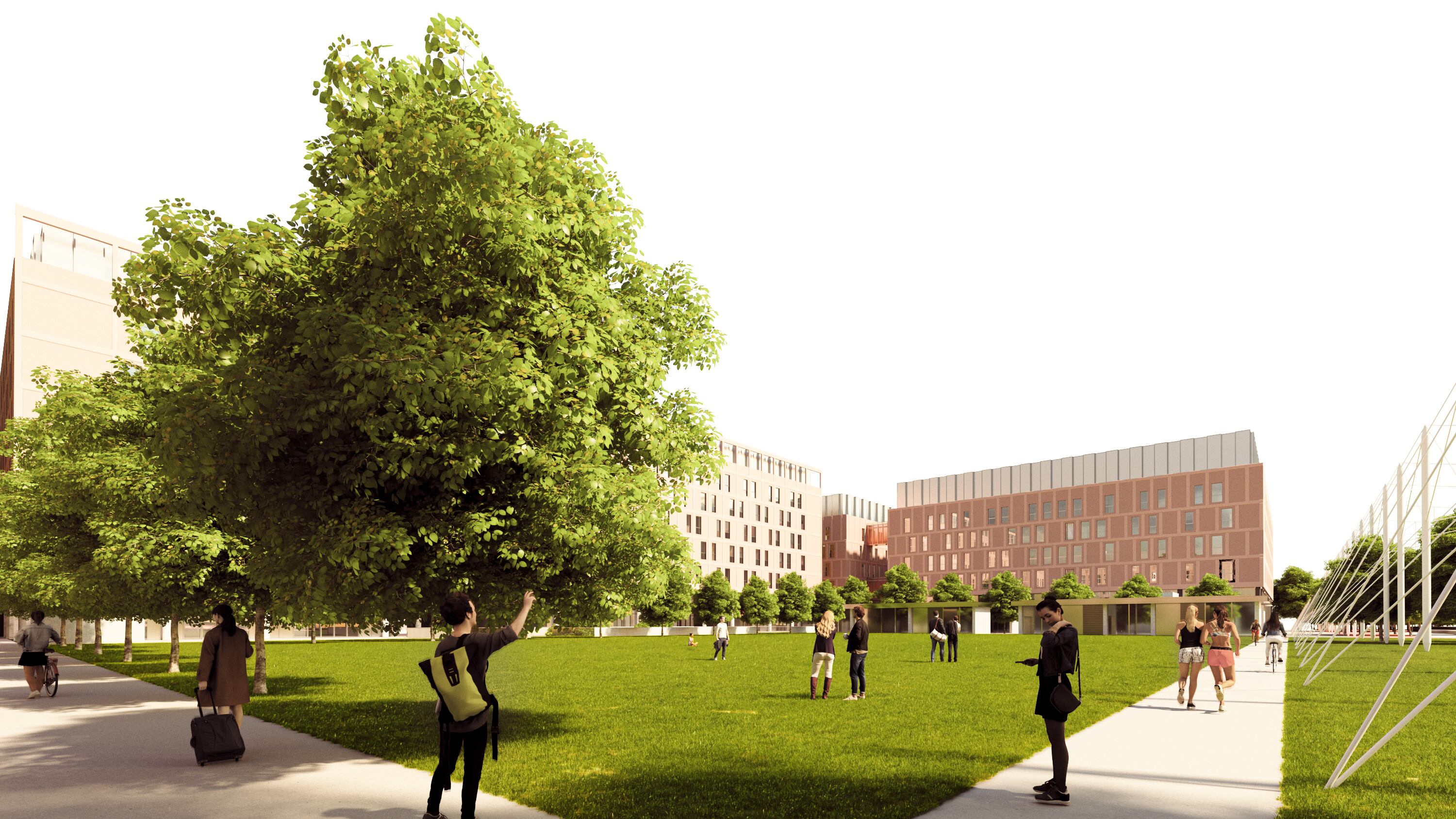 Dalla Statale via al campus di Mind. Città Studi diventa polo umanistico