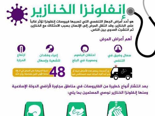 L'Isis sarà sconfitta dall'influenza suina?