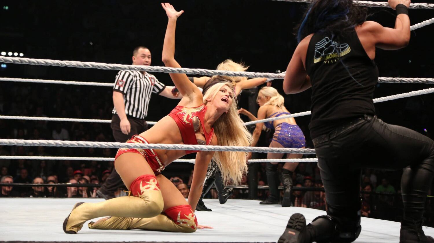 Bellezze mozzafiato e fisici scolpiti. Ecco le donne di Wrestlemania 3