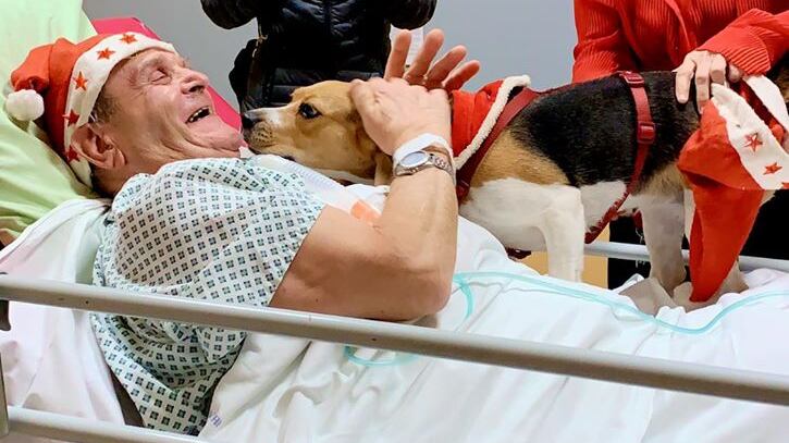Imola, cane in ospedale per salutare l'amico ricoverato: paziente migliora dopo la visita