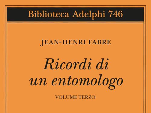Fabre, che scorgeva il genio della Natura nella palla arrotolata da uno scarabeo