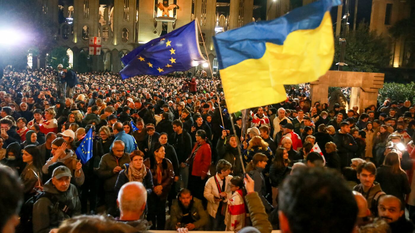 Il viaggio in Georgia: "Elezioni regolari"
