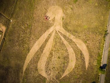 Clitoride gigante disegnato in un campo nel sud della Francia 1