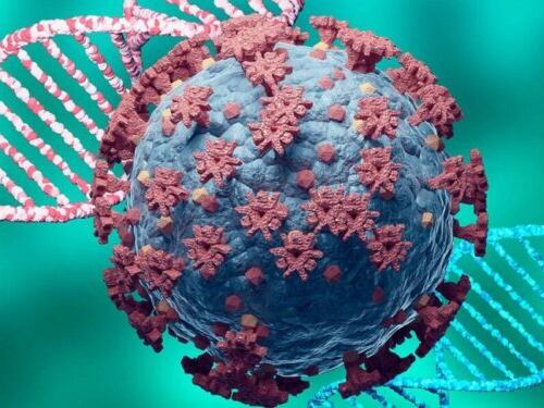 "Più contagiosa e peggiore": lo studio su Omicron 2