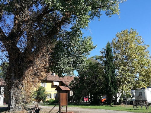 Anziana trovata morta e legata in un agriturismo, ipotesi rapina