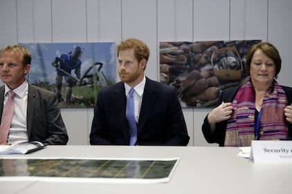 Royals, la nuova generazione 11