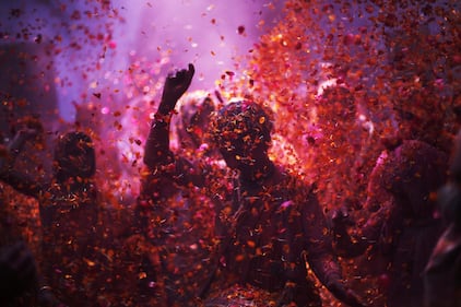 Il festival dei colori in India 14