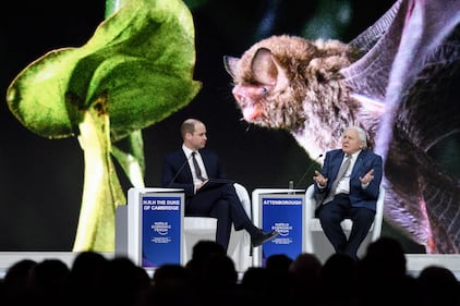 Il Principe William al World Economic Forum 13