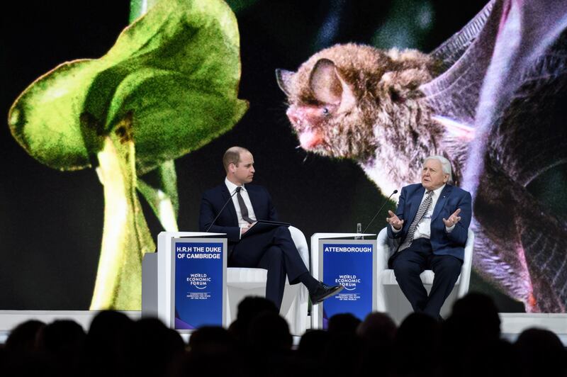 Il Principe William al World Economic Forum 13