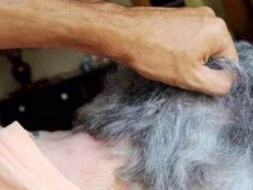 Violenze e umiliazioni contro la mamma e la nonna 90enne: arrestato