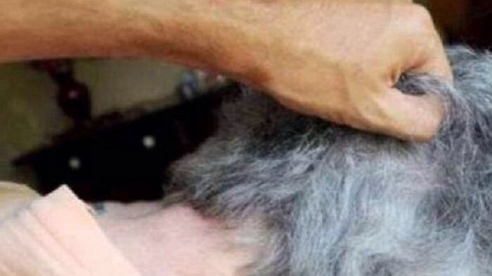 Violenze e umiliazioni contro la mamma e la nonna 90enne: arrestato