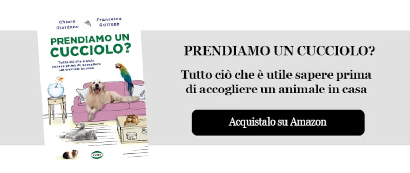 Prendiamo un cucciolo?