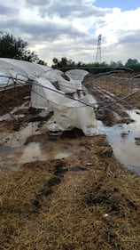 Fiumi di fango e frane: i danni del maltempo nel sud Italia 1