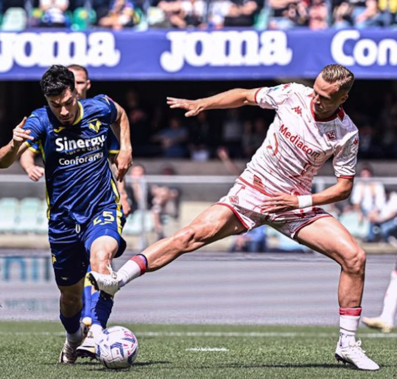 Verona - Fiorentina: finale