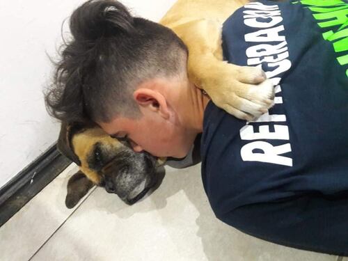 Cane muore per la paura dei fuochi d'artificio tra le braccia del padrone