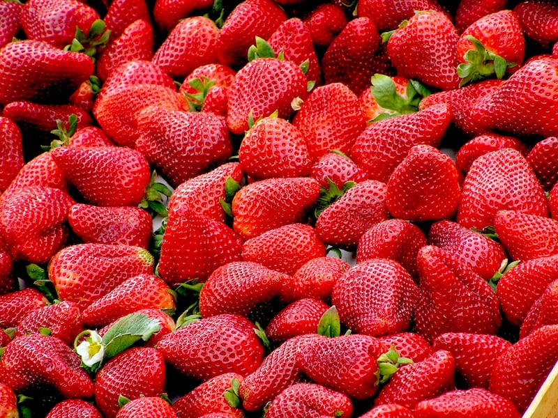 fragole