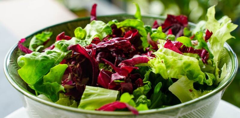 Radicchio in insalata