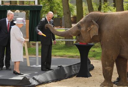 La Regina Elisabetta va allo zoo a vedere gli elefanti 3
