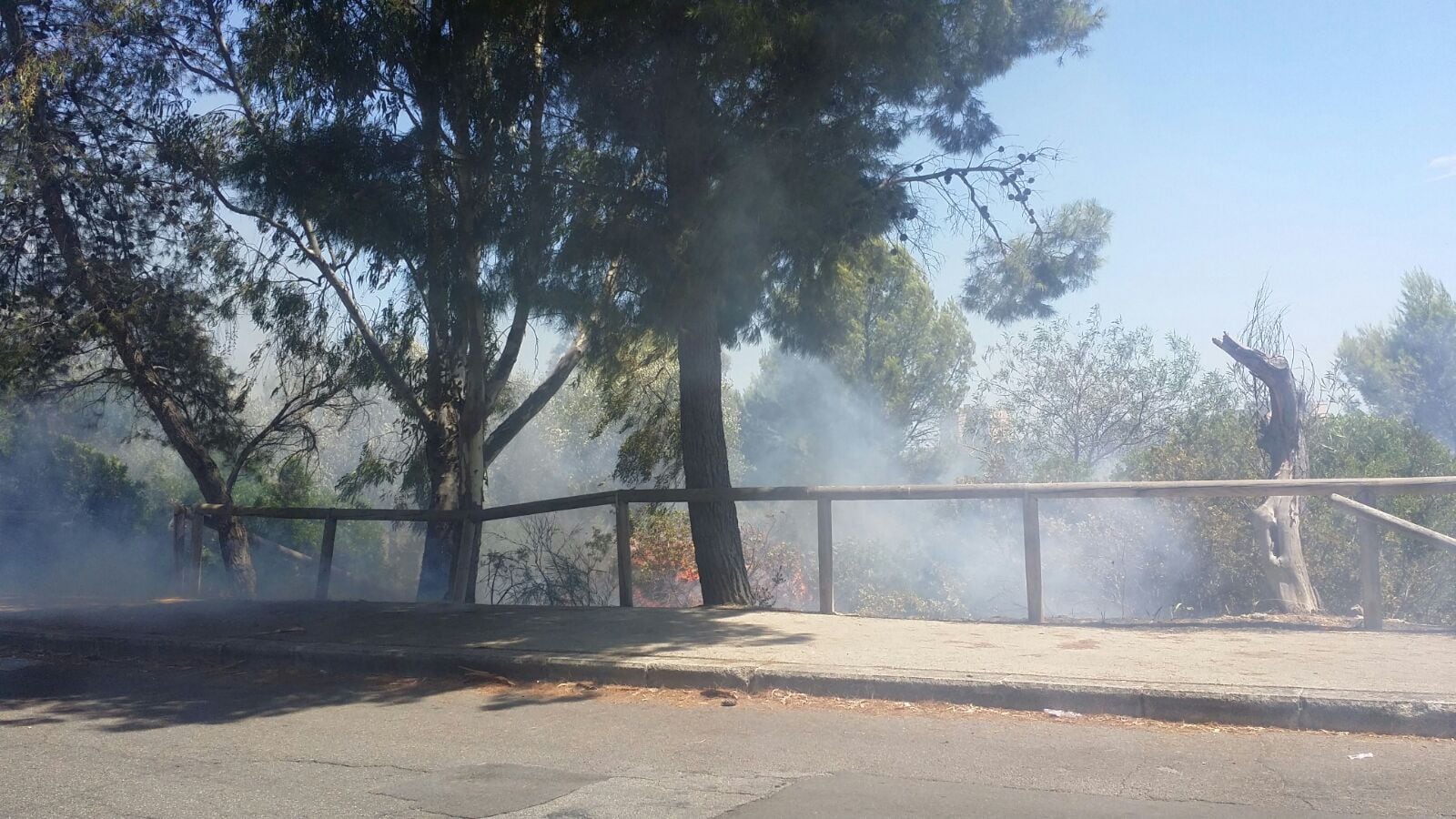 Taranto, dà fuoco al parco per uccidere le zanzare: in manette 45enne
