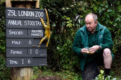 Allo zoo di Londra è il giorno del censimento 6