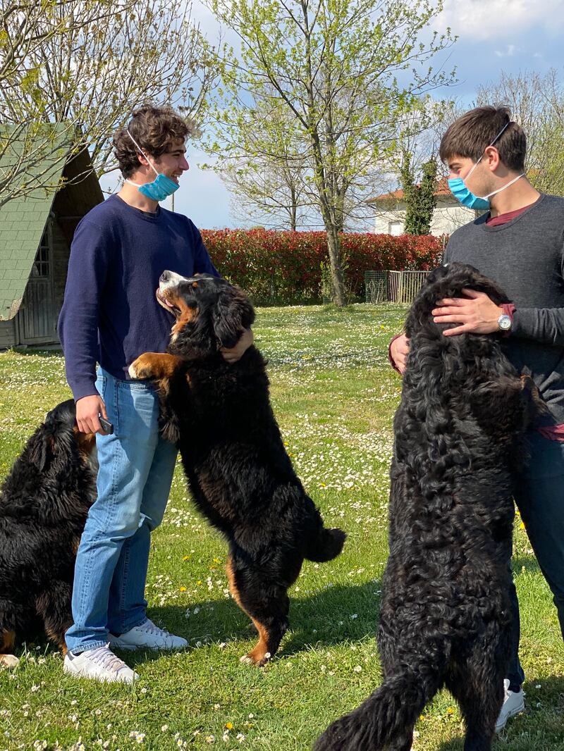 Chiengora, il tessuto dal sottopelo dei cani. L'idea vincente di due 24enni italiani 2