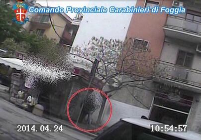 Alcuni fotogrammi dei video che incastrano gli impiegati 2