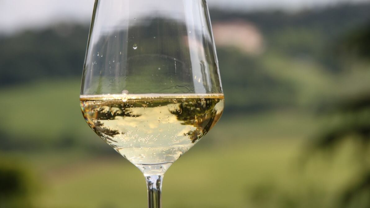 Weekend "frizzante" alla scoperta dei vini piacentini