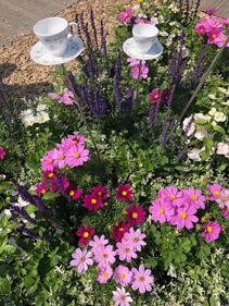 Giardini Arte Fiori Forte GAFF: il giardino che fiorisce dal mare 2