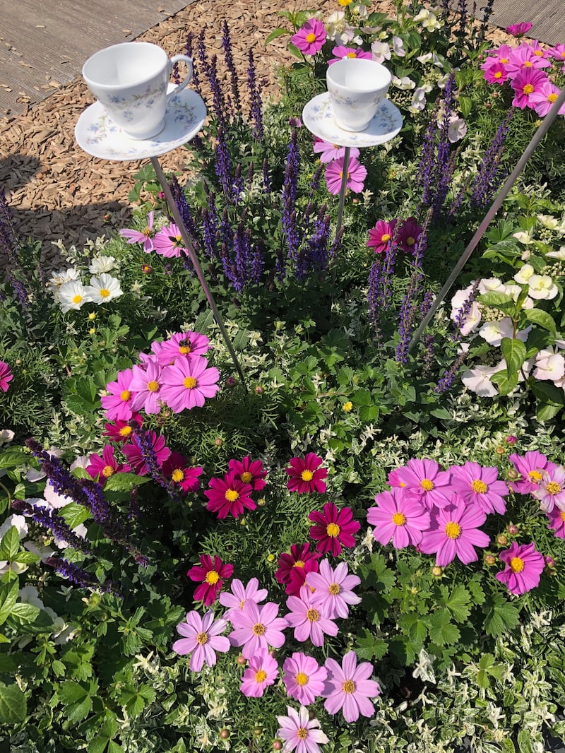 Giardini Arte Fiori Forte GAFF: il giardino che fiorisce dal mare 2