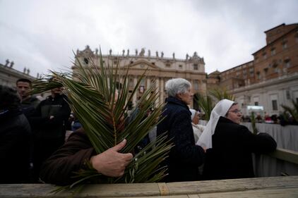 La Domenica delle Palme in Vaticano 7