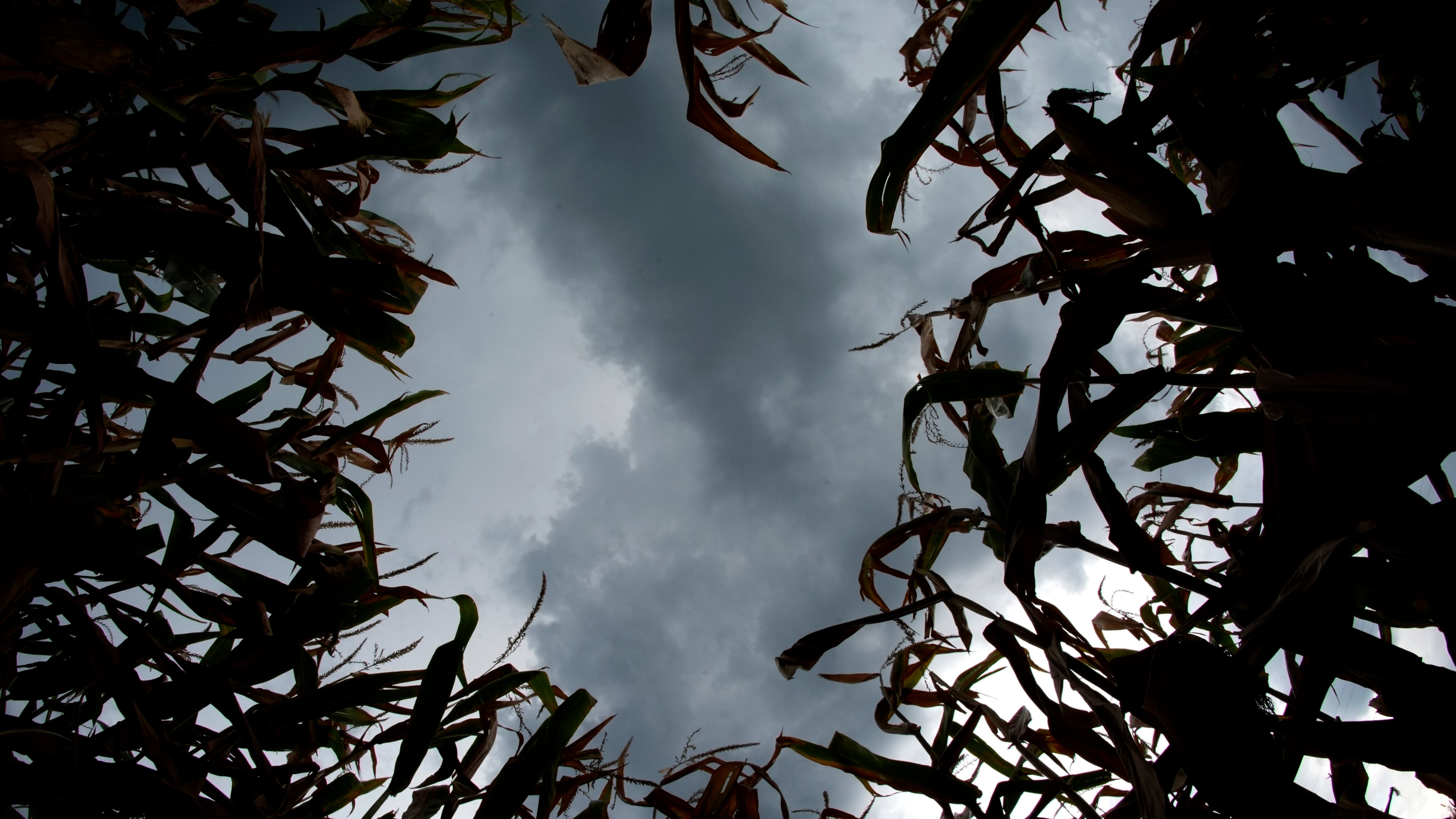 Crollo termico sull’Italia: di quanto si abbasseranno le temperature
