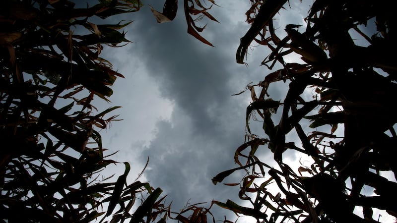 Il caldo estremo sta per finire: ecco quando arriva la perturbazione atlantica