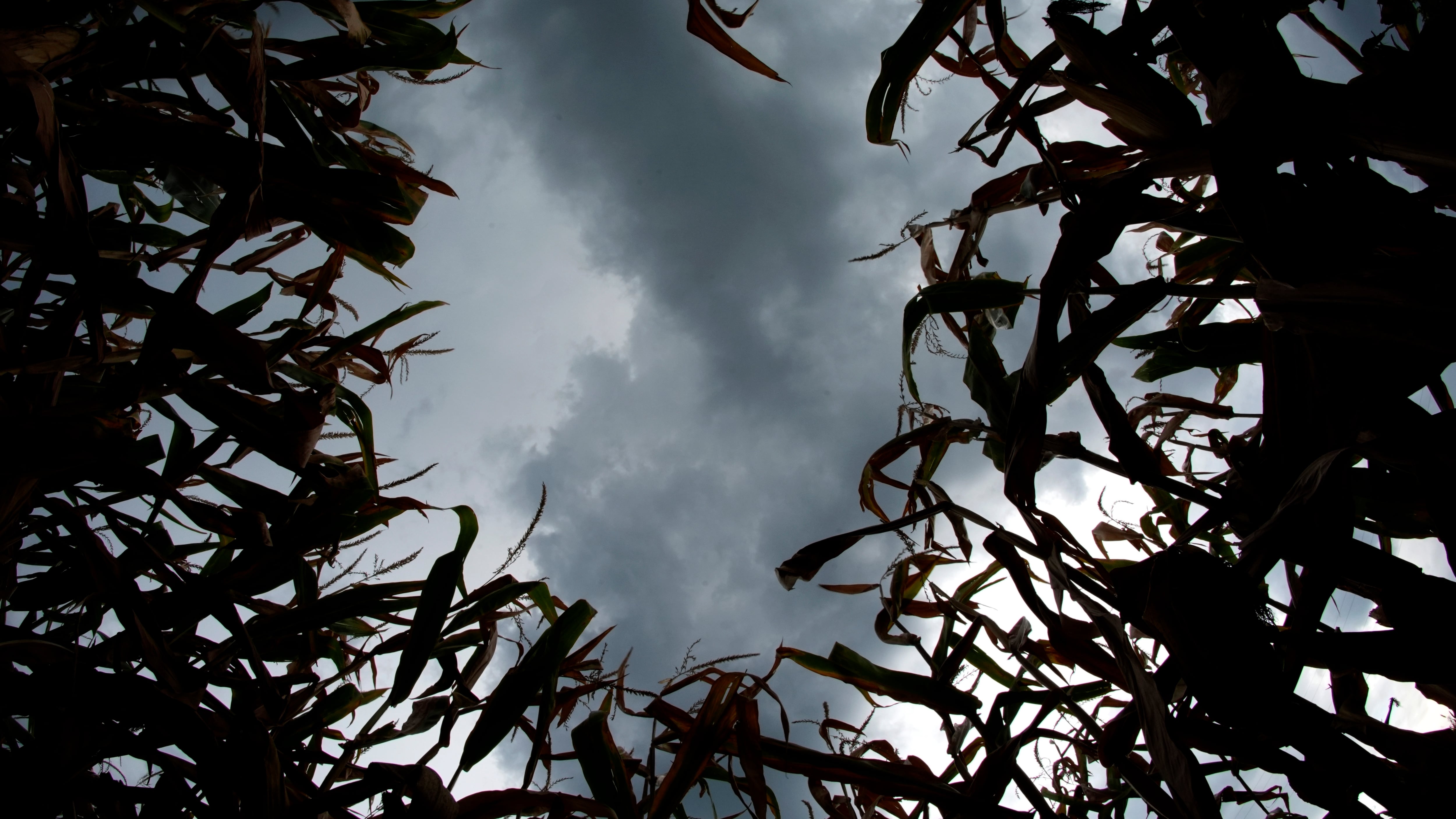Crollo termico sull’Italia: di quanto si abbasseranno le temperature