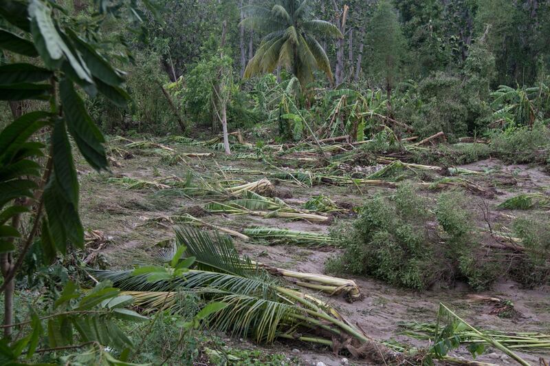 Uragano Matthew: 140 morti ad Haiti 7