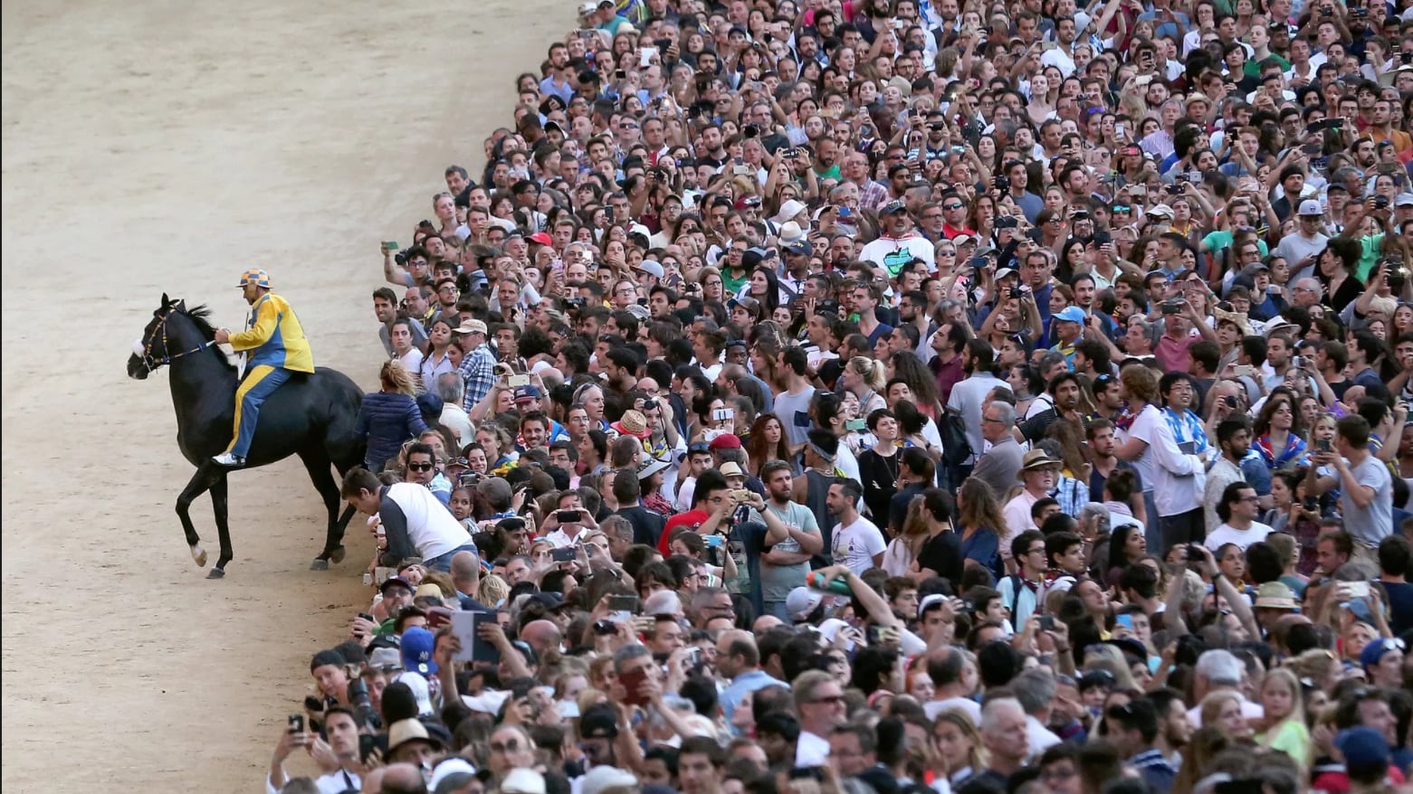 Palio di Siena, un cavallo trovato positivo al doping