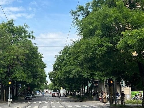 Il Garante: "Tutelare i filari alberati". E la sinistra litiga sull'acquisto della Maura