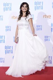 Penelope Cruz e Antonio Banderas sexy sul red carpet 2