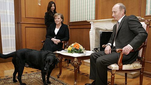 Putin: "Non volevo spaventare Merkel con il mio labrador"