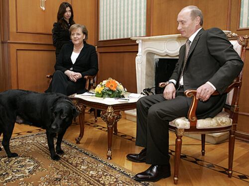 Putin: "Non volevo spaventare Merkel con il mio labrador"