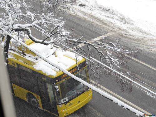 Iryna, cacciata dal bus perché non ha il biglietto: così è morta congelata